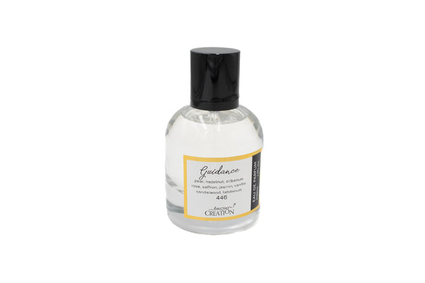 Amazing Creation Guidance EDP For Men 50 ml PFB0446
